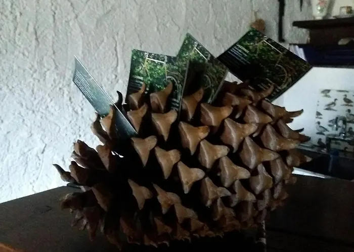 Alojamento de Acomodação e Pequeno-almoço La Cornue Bertrix