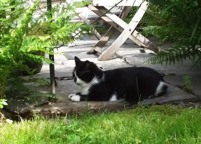 Alojamento de Acomodação e Pequeno-almoço La Cornue *